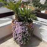 Hébergement de vacances Naricha 1 Menyber